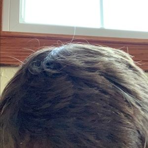 Meet your Posher, Brady